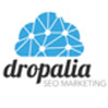 Soluciones ecommerce-ejemplo-tienda-dropalia
